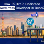 wordpress-developer